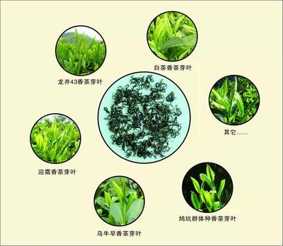 第三屆中國國際茶葉博覽會 麗水香茶攜九縣名茶強勢出擊，茶香席卷杭城